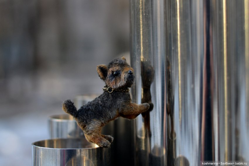 Йорк, характер нордический