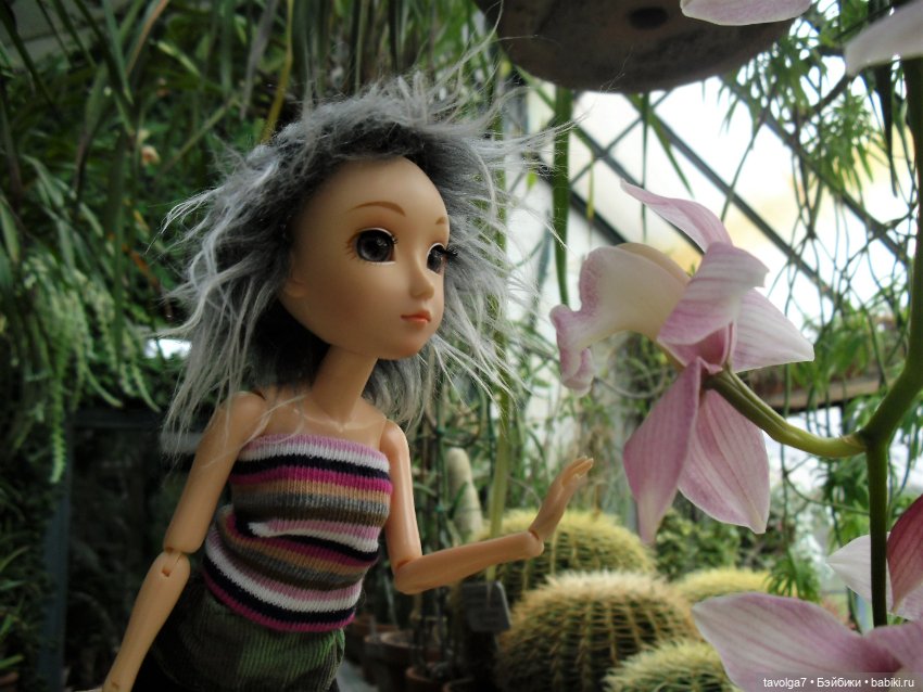 21 марта - Международный День Кукольника