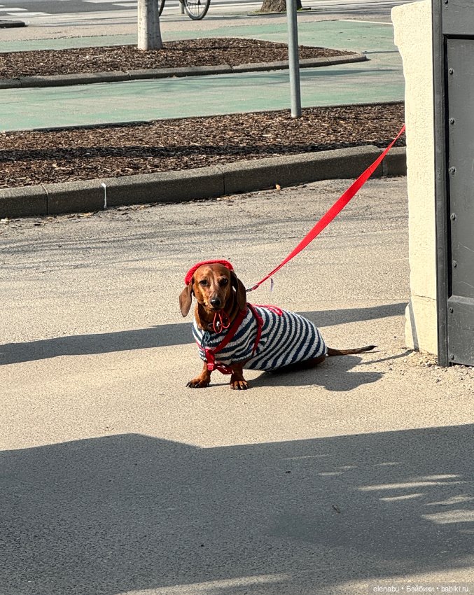 Грета гуляет по Парижу — Куклы Gotz (Готц): Ханна (фото 10)