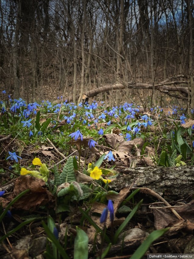 Весеннее настроение с Ликой