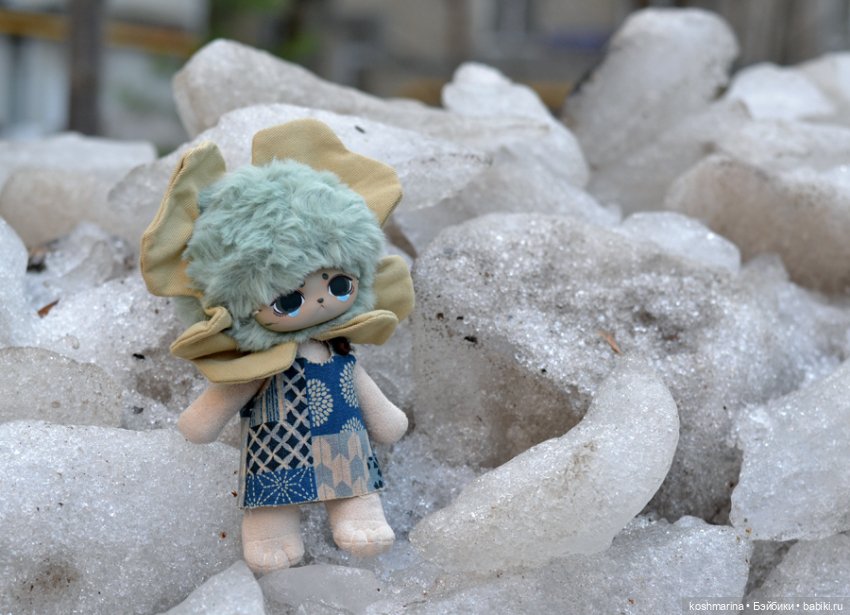 Знакомьтесь -- Клевер четырехлистный (фото 6)