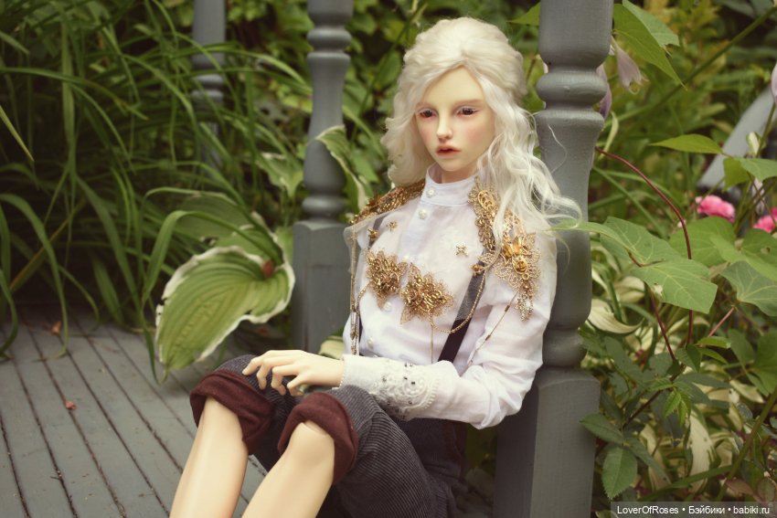 Принц-лягушка — Фотоистории с куклами BJD (БЖД): сериалы (фото 8)