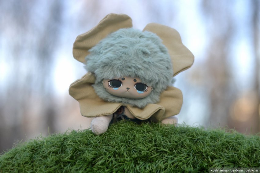 Знакомьтесь -- Клевер четырехлистный (фото 10)