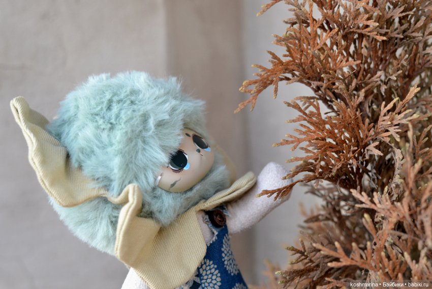 Знакомьтесь -- Клевер четырехлистный (фото 4)