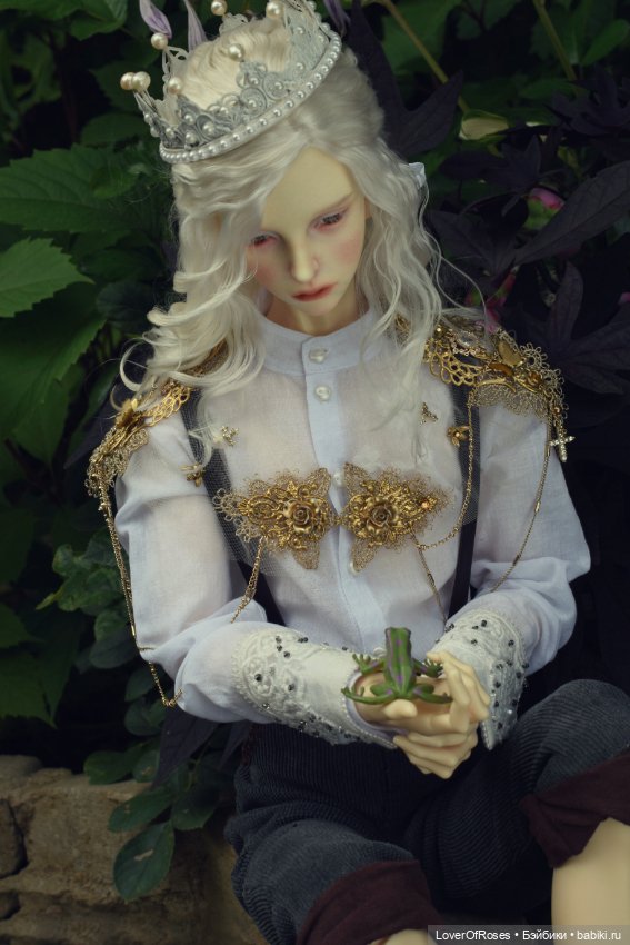 Принц-лягушка — Фотоистории с куклами BJD (БЖД): сериалы (фото 3)