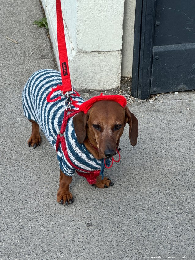 Грета гуляет по Парижу — Куклы Gotz (Готц): Ханна