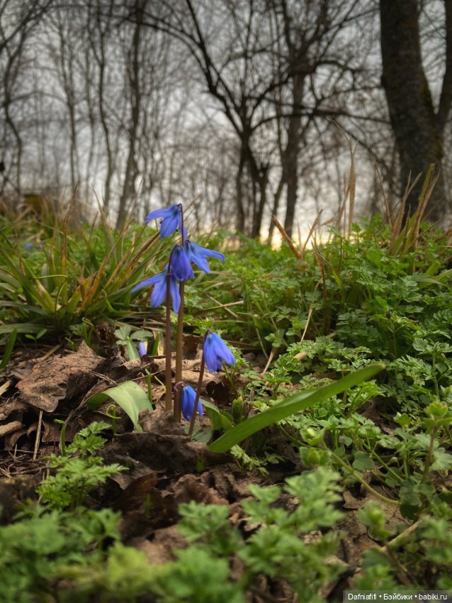 Весеннее настроение с Ликой