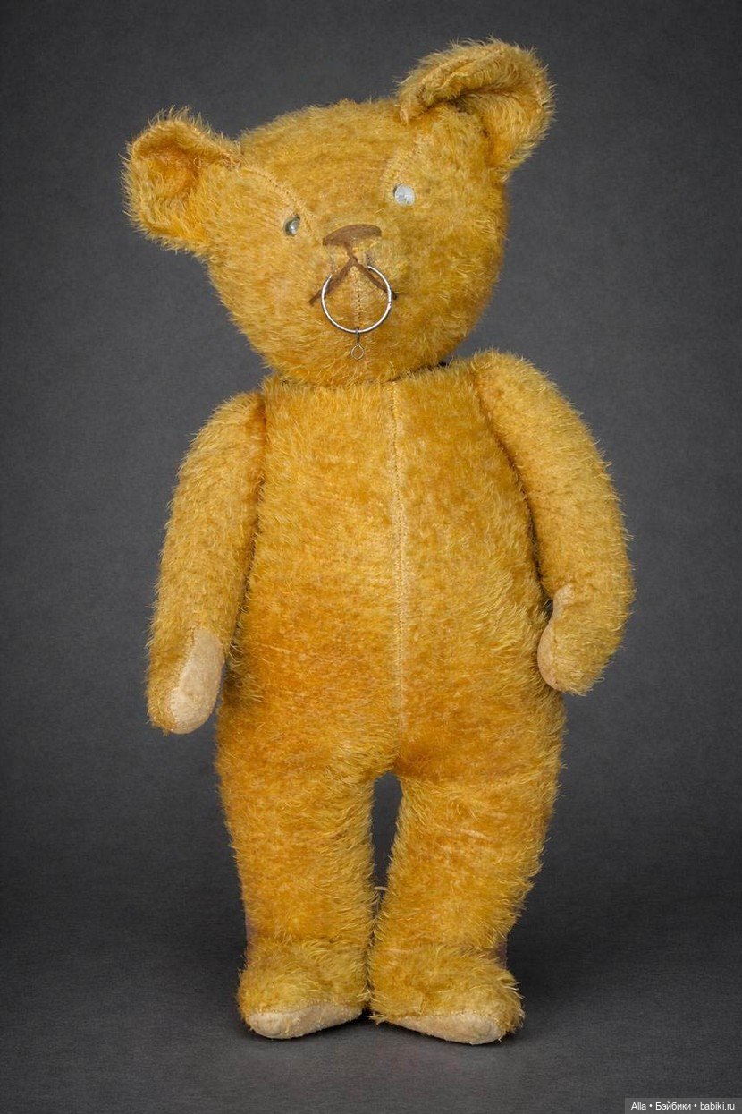 Медведи-«терминаторы» начала XX века: Загадка Electric Eye Bears (фото 5)