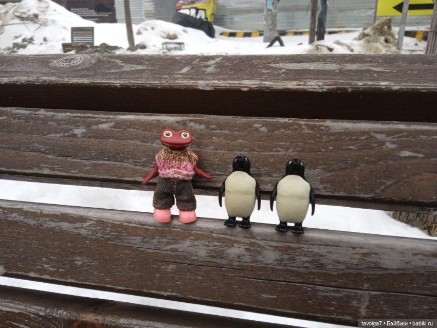 Странная компания на весенней городской прогулке