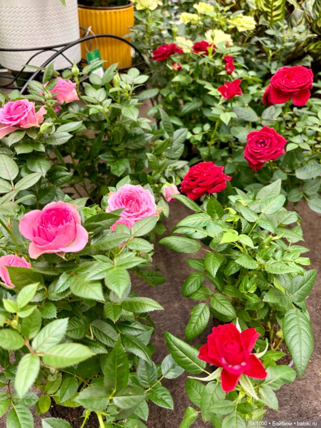 Нам куклы строить и жить помогают 💚