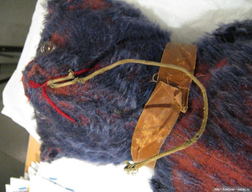 Медведи-«терминаторы» начала XX века: Загадка Electric Eye Bears (фото 2)