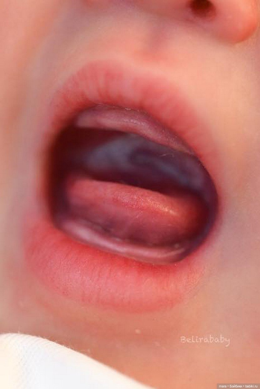 Малышка Aoi от Belirababy: сладкая зевота, которая покоряет сердца (фото 7)