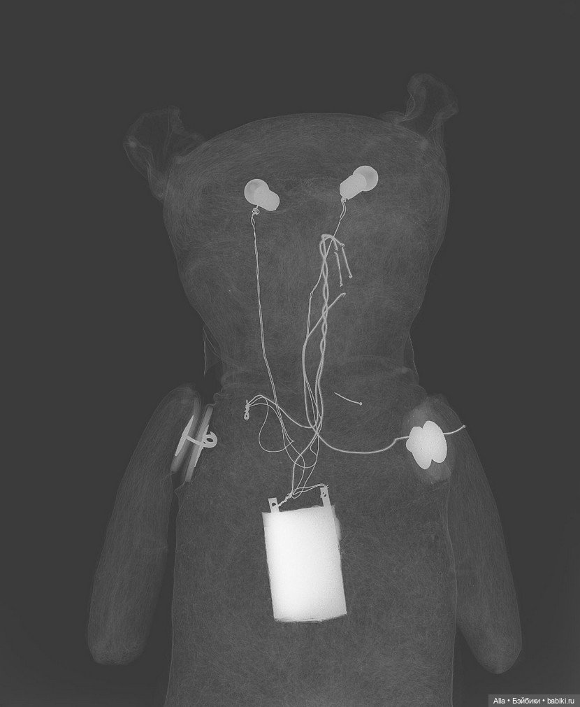 Медведи-«терминаторы» начала XX века: Загадка Electric Eye Bears (фото 9)