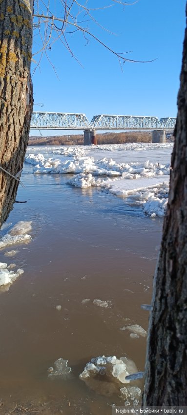 Ледоход на Оке — Фигурки Studio (фото 6)