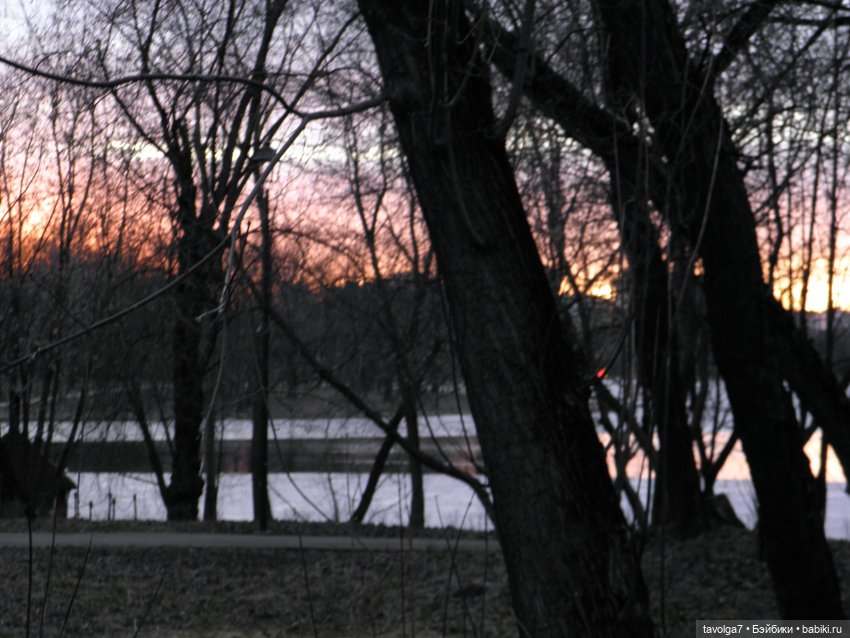 BeGoths Ворон в усадьбе Михалково Москва (фото 2)