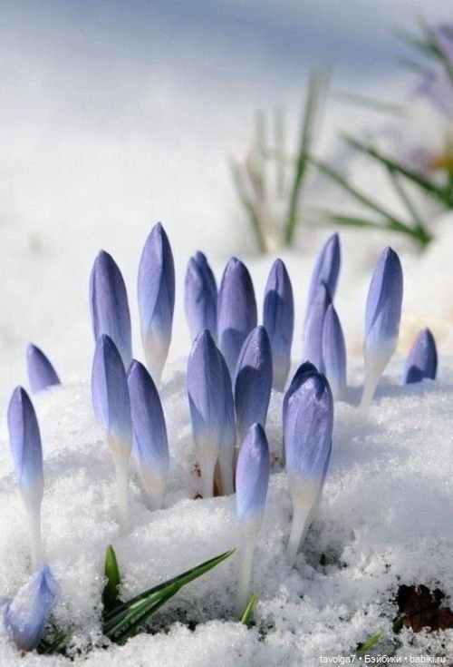 Март - движение света и цвета (фото 9)