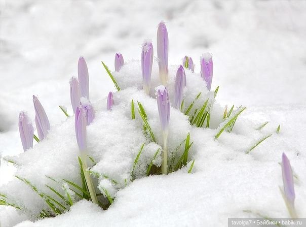 Март - движение света и цвета (фото 10)