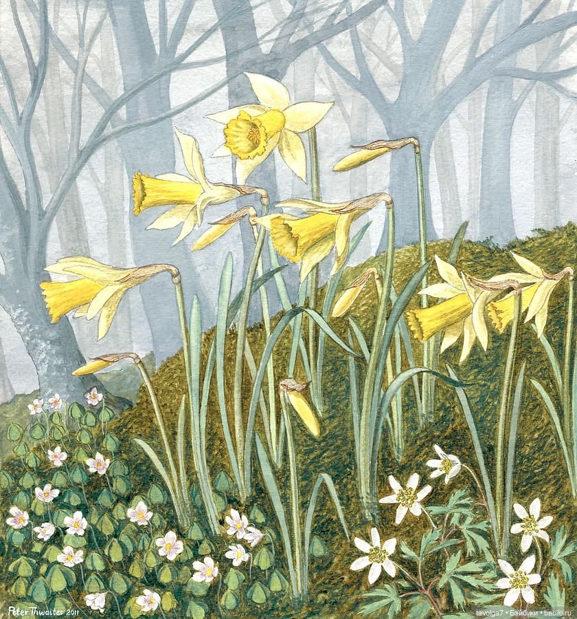 Март - движение света и цвета