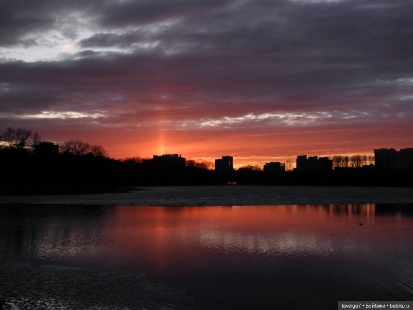 BeGoths Ворон в усадьбе Михалково Москва