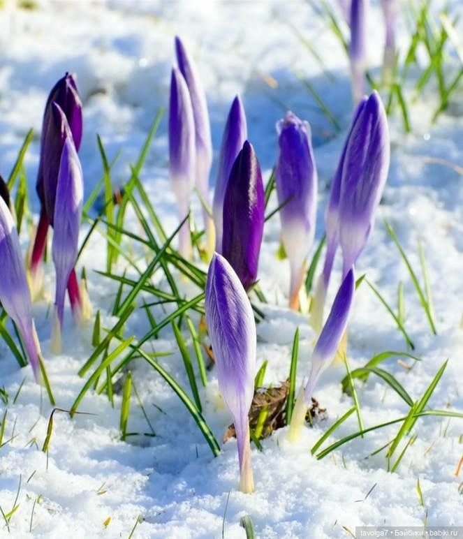 Март - движение света и цвета