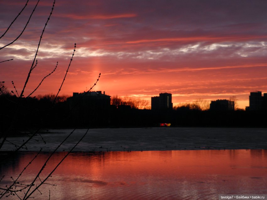 BeGoths Ворон в усадьбе Михалково Москва