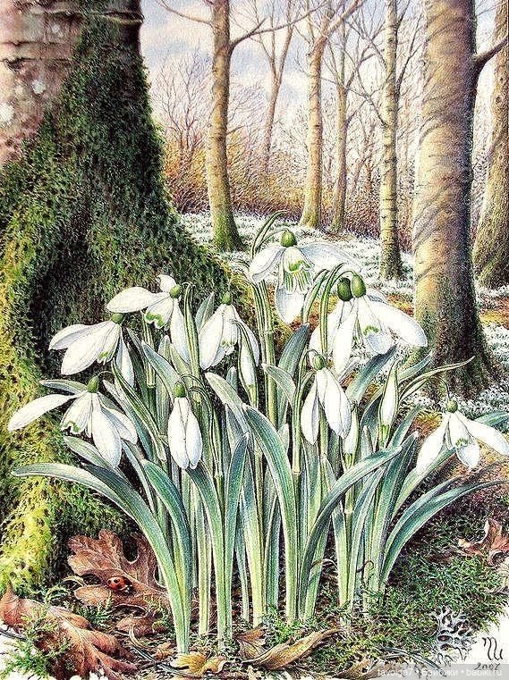 Март - движение света и цвета