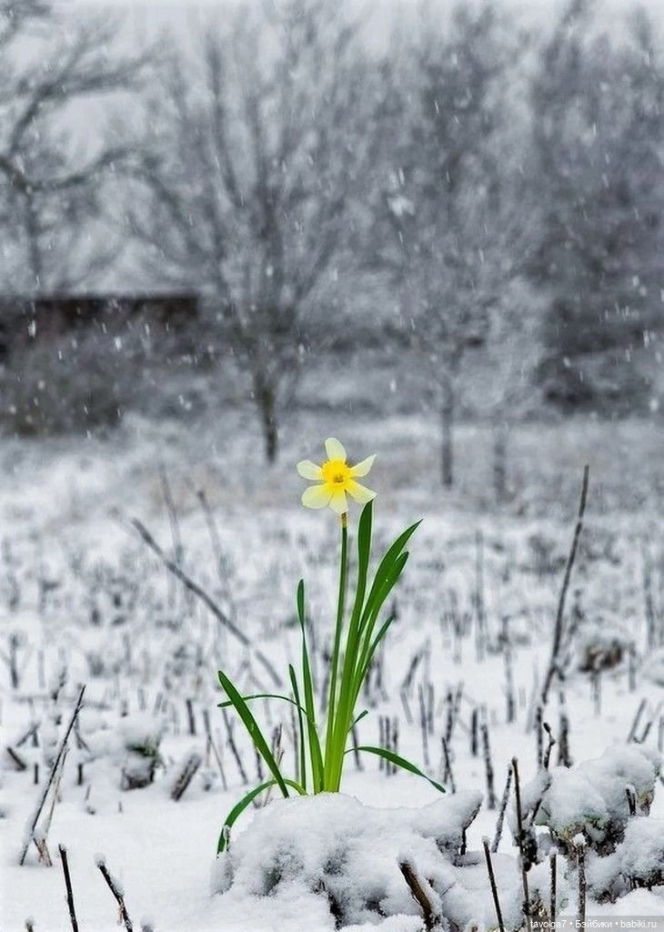 Март - движение света и цвета