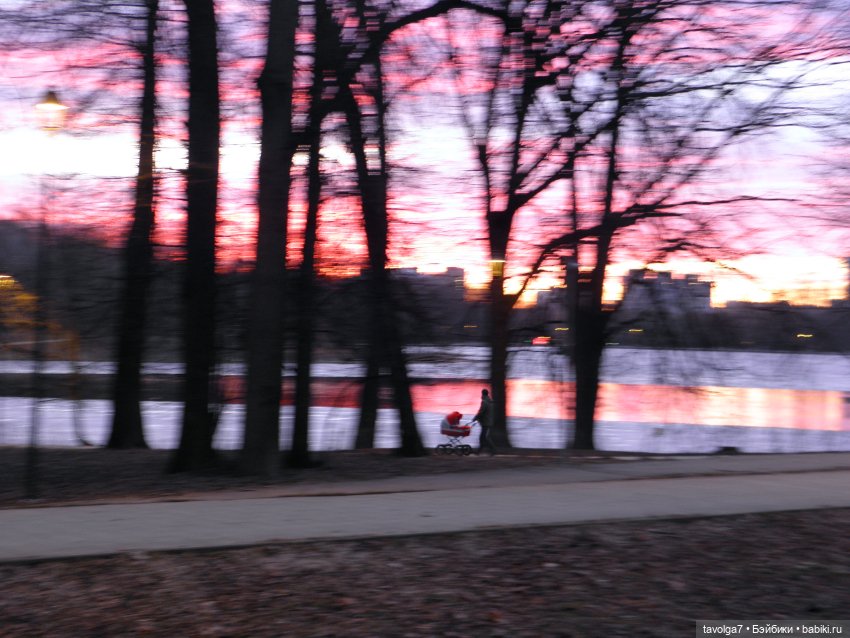 BeGoths Ворон в усадьбе Михалково Москва