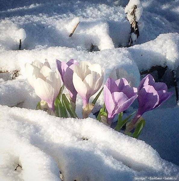 Март - движение света и цвета