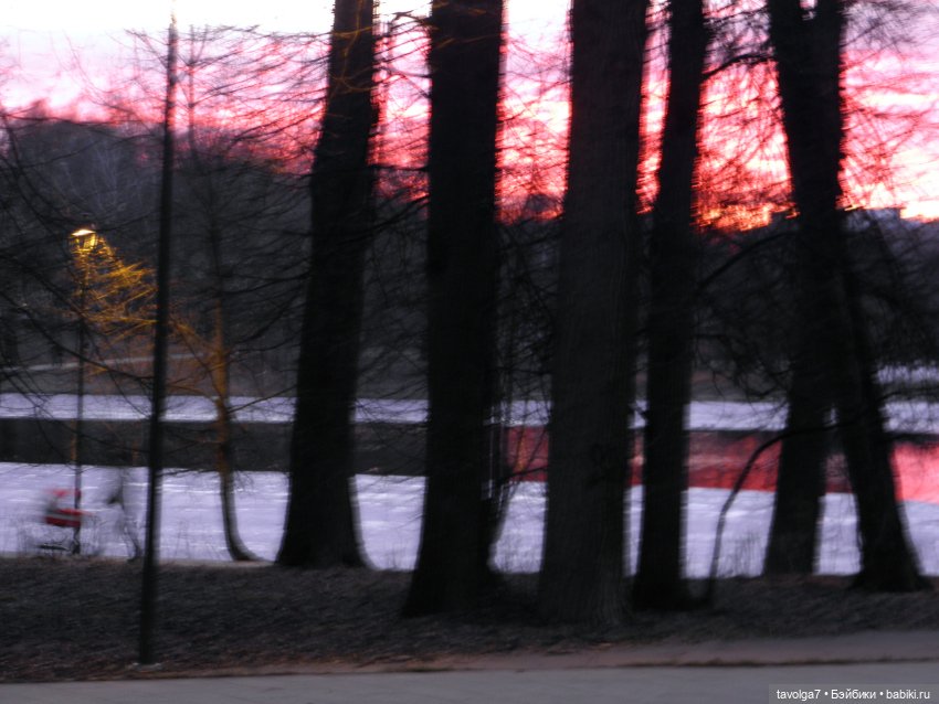 BeGoths Ворон в усадьбе Михалково Москва