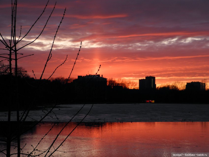 BeGoths Ворон в усадьбе Михалково Москва