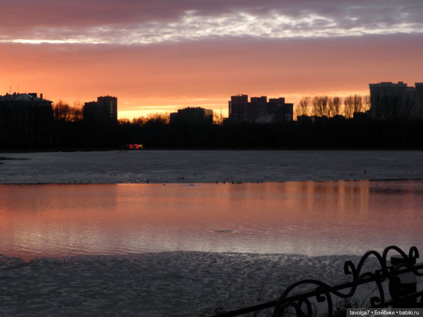 BeGoths Ворон в усадьбе Михалково Москва (фото 4)