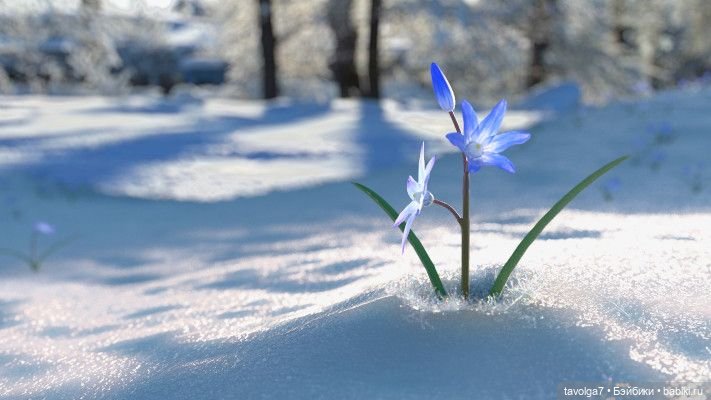 Март - движение света и цвета (фото 8)