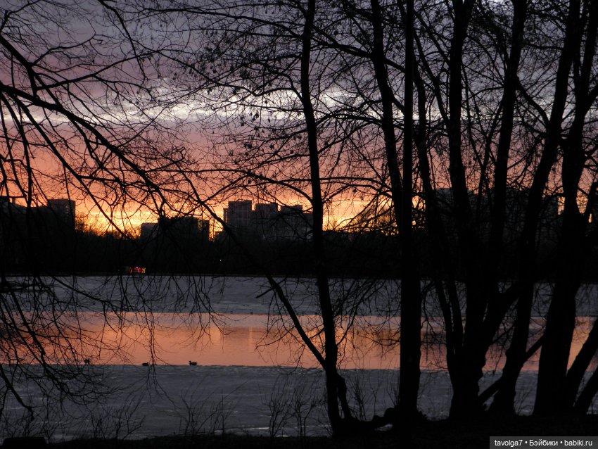 BeGoths Ворон в усадьбе Михалково Москва (фото 3)