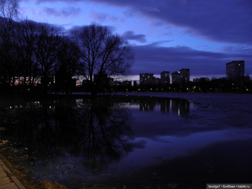 BeGoths Ворон в усадьбе Михалково Москва