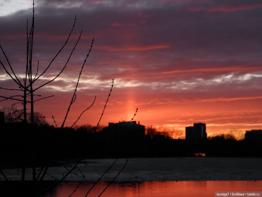 BeGoths Ворон в усадьбе Михалково Москва