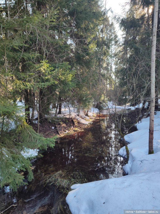 Путешественник — Куклы Rosemarie Anna Muller (Мюллер): Вихтели (Wichtel) (фото 2)