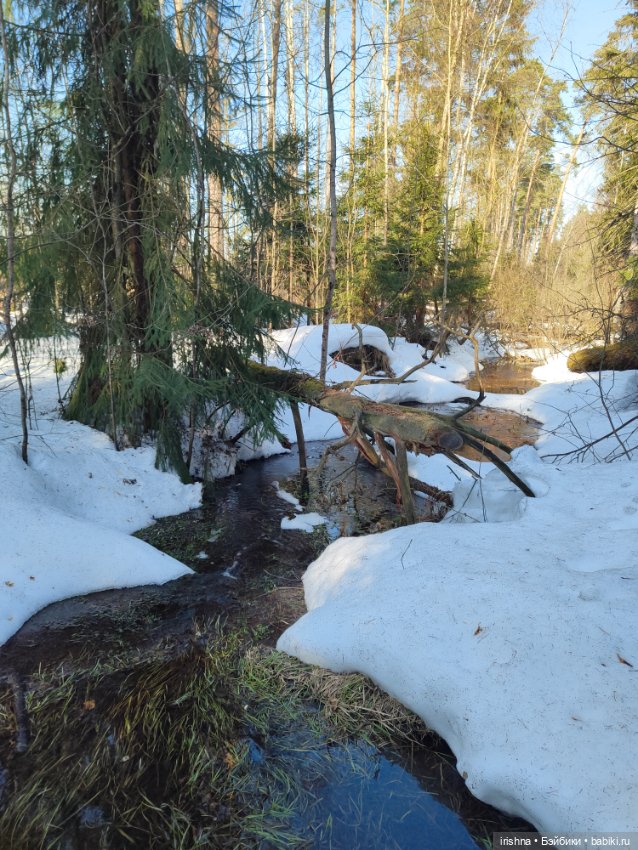 Путешественник — Куклы Rosemarie Anna Muller (Мюллер): Вихтели (Wichtel) (фото 3)
