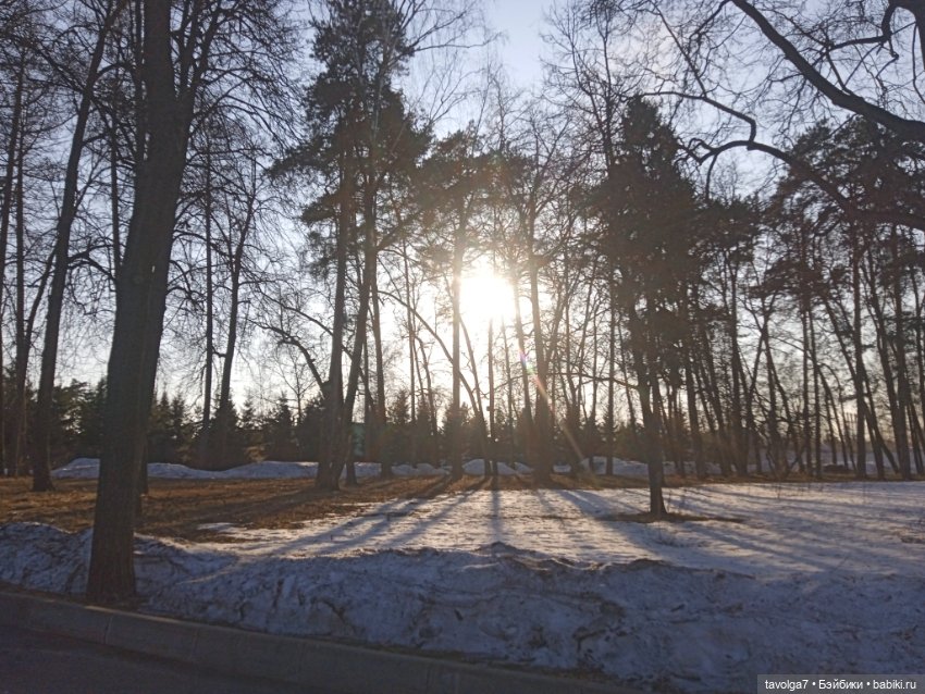 Нарышкинское Барокко и путешествие для Popo Milk (фото 5)