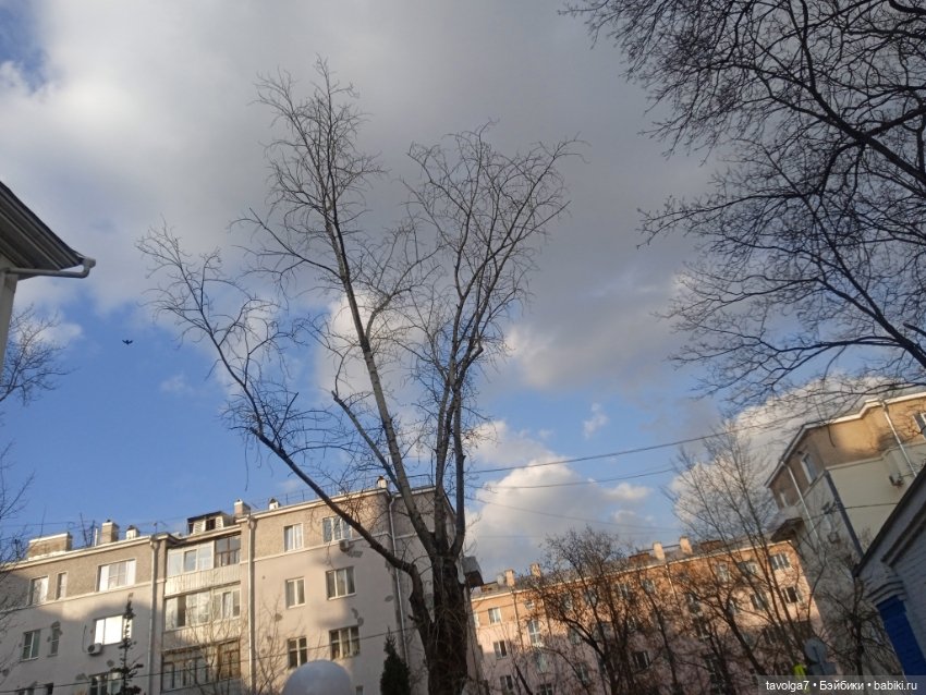 Моя первая Lottie — Куклы Lottie (Лотти): Arklu