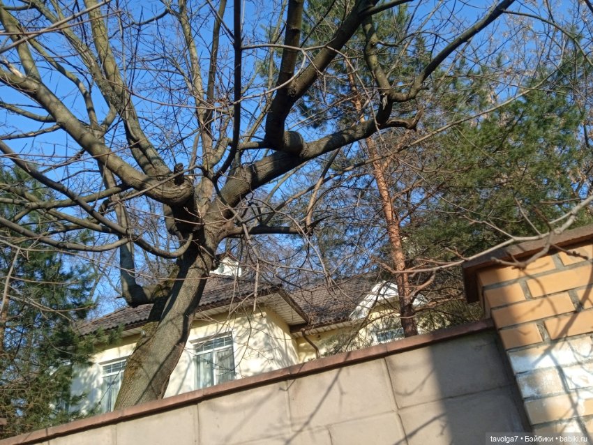 Нарышкинское Барокко и путешествие для Popo Milk (фото 2)