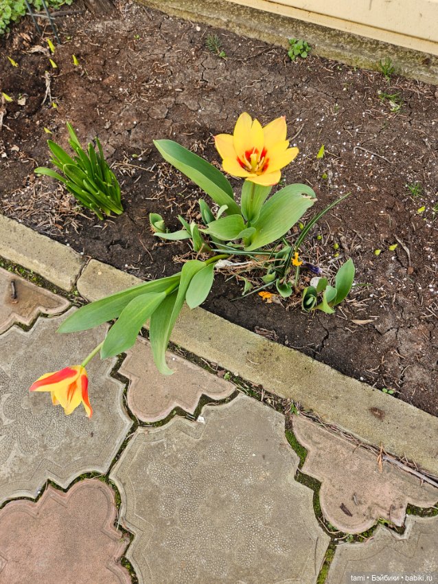 Первая весенняя прогулка — Куклы Gotz (Готц): Ханна