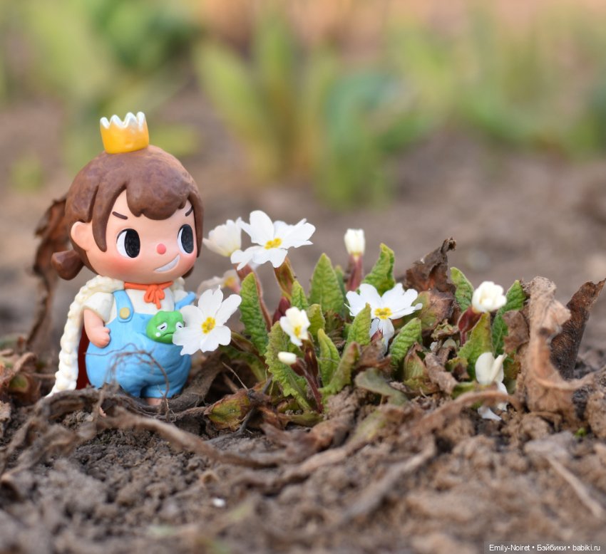 Солнышко, цвЯточки - красотааа (фото 3)