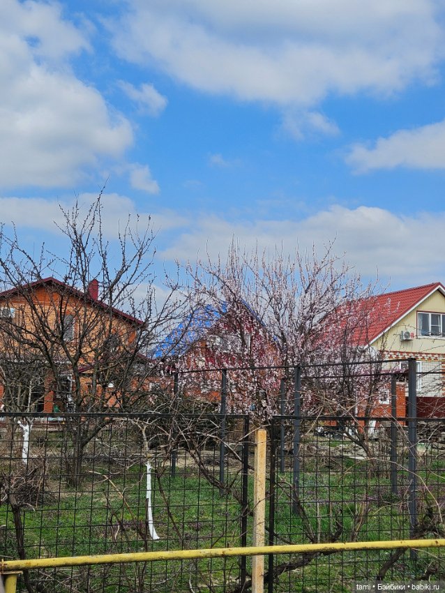 Первая весенняя прогулка — Куклы Gotz (Готц): Ханна