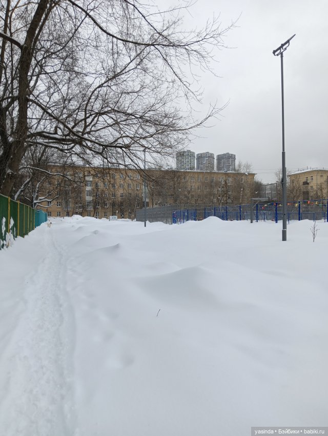 Настоящая зима — Азиатские виниловые куклы (разное): Китай