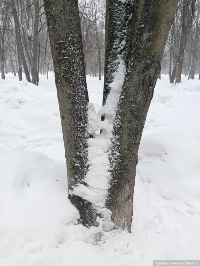 Настоящая зима — Азиатские виниловые куклы (разное): Китай