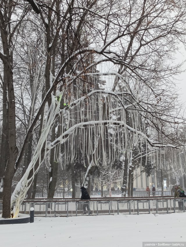 Настоящая зима — Азиатские виниловые куклы (разное): Китай