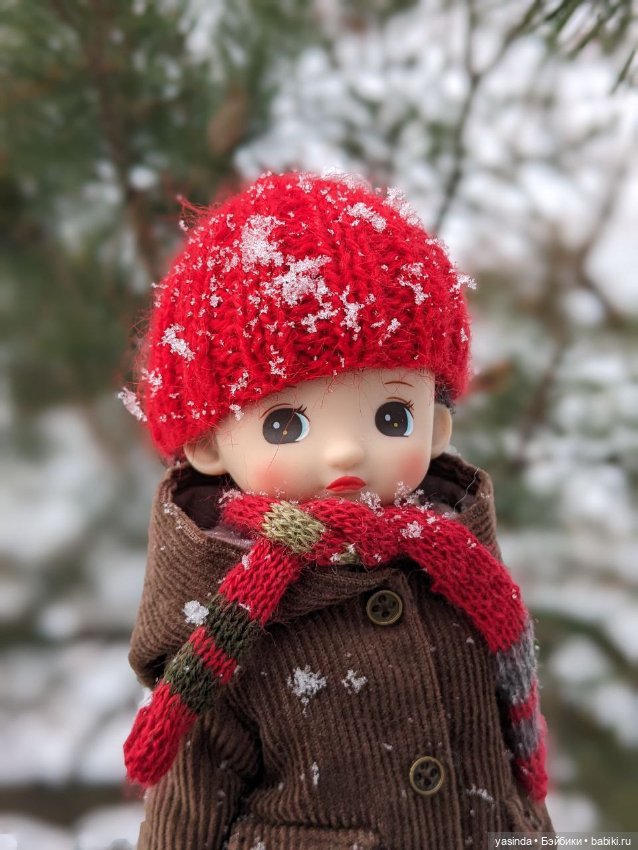 Настоящая зима — Азиатские виниловые куклы (разное): Китай