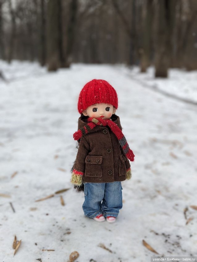 Настоящая зима — Азиатские виниловые куклы (разное): Китай