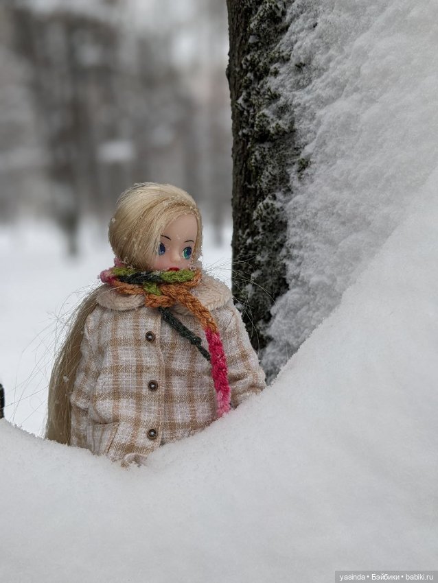 Настоящая зима — Азиатские виниловые куклы (разное): Китай